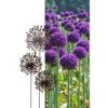 Allium Ø 30 Cm - Decoroest 1 Allium Ø 30 Cm - Decoroest -Tuindecoratie Winkel 1511789124 1 600