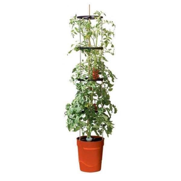 Tomatentoren Met Bewateringssysteem - 150 Cm 4 Tomatentoren Met Bewateringssysteem - 150 Cm - Afbeelding 2