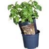 ESSCHERT DESIGN Aardappelpot - PotatoPot - 12 Liter -Tuindecoratie Winkel 1579855338 1 600