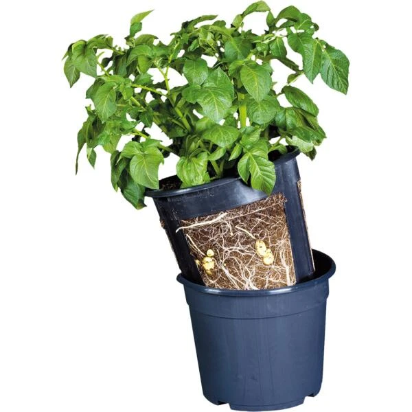 ESSCHERT DESIGN Aardappelpot - PotatoPot - 12 Liter 3 ESSCHERT DESIGN Aardappelpot - PotatoPot - 12 Liter