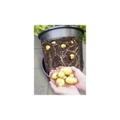 ESSCHERT DESIGN Aardappelpot - PotatoPot - 12 Liter 7 ESSCHERT DESIGN Aardappelpot - PotatoPot - 12 Liter -Tuindecoratie Winkel 1579855339 2 600