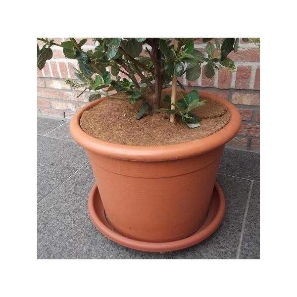 Kokos Afdekring - Ø 45 Cm 4 Kokos Afdekring - Ø 45 Cm - Afbeelding 2