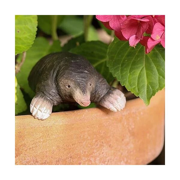 Europese Mol In Lindenhout - Handgemaakt 4 Europese Mol In Lindenhout - Handgemaakt - Afbeelding 2