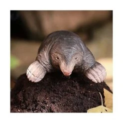 Europese Mol In Lindenhout - Handgemaakt 7 Europese Mol In Lindenhout - Handgemaakt -Tuindecoratie Winkel 1611665886 3 600