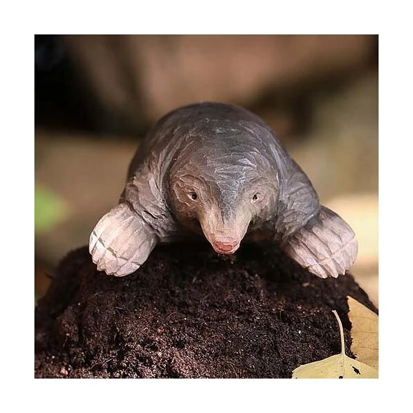 Europese Mol In Lindenhout - Handgemaakt 5 Europese Mol In Lindenhout - Handgemaakt - Afbeelding 3