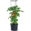 Tomaten Kweekpot Met Groeisteun - 12 Liter 1 Tomaten Kweekpot Met Groeisteun - 12 Liter -Tuindecoratie Winkel 1649410567 1 600