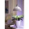 Groeilamp Led Florabooster 500 - 6,5W - Wit 1 Groeilamp Led Florabooster 500 - 6,5W - Wit -Tuindecoratie Winkel 1677504262 1 600
