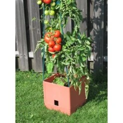 Plantentoren Maxitom Met Waterreservoir - Terracotta 10 Plantentoren Maxitom Met Waterreservoir - Terracotta -Tuindecoratie Winkel 1677510667 3 600