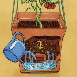 Plantentoren Maxitom Met Waterreservoir - Terracotta 11 Plantentoren Maxitom Met Waterreservoir - Terracotta -Tuindecoratie Winkel 1677510668 5 600