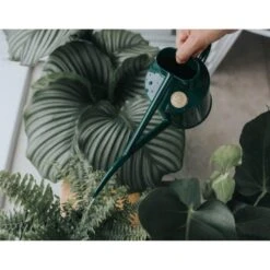 Haws Kamerplantengieter The Fazeley Flow 1 L - Groen -Tuindecoratie Winkel 1686734925 3 600