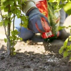 Compo Turbo Hagen - 4 Kg -Tuindecoratie Winkel 1709217573 3 600