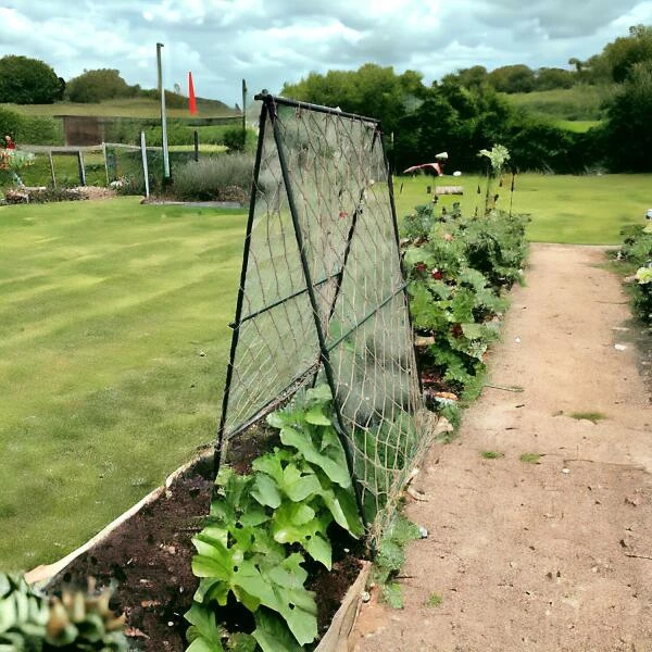 Klimframe Voor Bonen - 100 X 180 Cm 5 Klimframe Voor Bonen - 100 X 180 Cm - Afbeelding 3