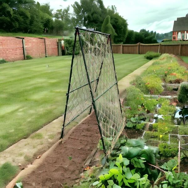 Klimframe Voor Bonen - 100 X 180 Cm 4 Klimframe Voor Bonen - 100 X 180 Cm - Afbeelding 2