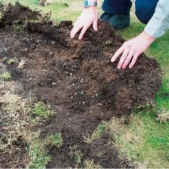 DCM Heteri-Guard - Aaltjes Tegen Engerlingen In Gazon - Voor 10 M² -Tuindecoratie Winkel aaltjes tegen engerlingen 10 m 1664370204 2 600