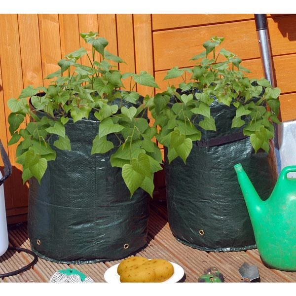 Aardappel Kweekzak Groen 4 Aardappel Kweekzak Groen - Afbeelding 2