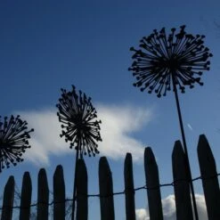 Allium Ø 30 Cm - Decoroest 10 Allium Ø 30 Cm - Decoroest -Tuindecoratie Winkel allium 30 cm decoroest 1512145830 2 600