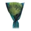 Beschermhoes Palmboom - Groen - 150 Cm -Tuindecoratie Winkel beschermhoes palmboom 150 cm 1674116728 1 600