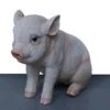 Jong Varkentje Zittend 1 Jong Varkentje Zittend -Tuindecoratie Winkel big zittend levensecht 1484055478 1 600