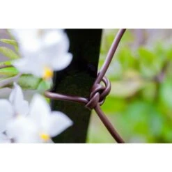 Bindbuis Elastisch Ø 2,5 Mm - Bruin 40 M 8 Bindbuis Elastisch Ø 2,5 Mm - Bruin 40 M -Tuindecoratie Winkel bindbuis bruin 135 g 1484066131 2 600