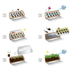 Binnenkas BoQube Plus Romberg - 41 × 17 × 23 Cm 12 Binnenkas BoQube Plus Romberg - 41 × 17 × 23 Cm -Tuindecoratie Winkel binnenkas boqube 41 x 17 x 23 cm 1656509792 5 600