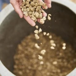 Compo Bio Granuplant Puimsteenkorrels - 40 L 10 Compo Bio Granuplant Puimsteenkorrels - 40 L -Tuindecoratie Winkel compo bio granuplant 40 l 1709199298 2 600