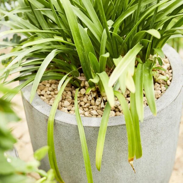 Compo Bio Granuplant Puimsteenkorrels - 40 L 7 Compo Bio Granuplant Puimsteenkorrels - 40 L - Afbeelding 5