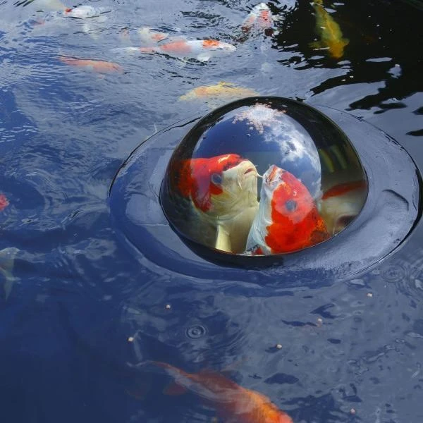 Drijvende Visbeleving - 56 Cm 4 Drijvende Visbeleving - 56 Cm - Afbeelding 2