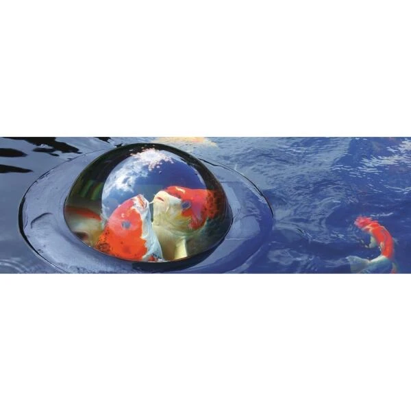 Drijvende Visbeleving - 56 Cm 7 Drijvende Visbeleving - 56 Cm - Afbeelding 5