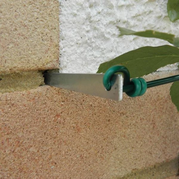 Druivengeleiders - Set Van 4 Stuks 3 Druivengeleiders - Set Van 4 Stuks