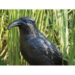 Duivenverjager Kraai 9 Duivenverjager Kraai -Tuindecoratie Winkel duivenverjager kraai 1484053985 3 600