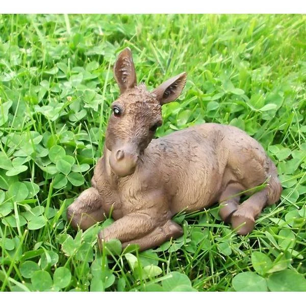 Ezel Veulen Liggend - Levensecht 3 Ezel Veulen Liggend - Levensecht