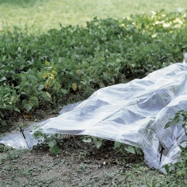 Folie Voor Kweektunnel - 2 × 10 M 3 Folie Voor Kweektunnel - 2 × 10 M