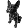 Franse Bulldog Zwart - H 37 Cm 2 Franse Bulldog Zwart - H 37 Cm -Tuindecoratie Winkel franse bulldog zwart h 37 cm 1596615982 1 600