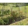 Fruitkooi Lang 3 × 1 × 1,5 M -Tuindecoratie Winkel fruitkooi 3 x 1 x 15m 1484054956 1 600