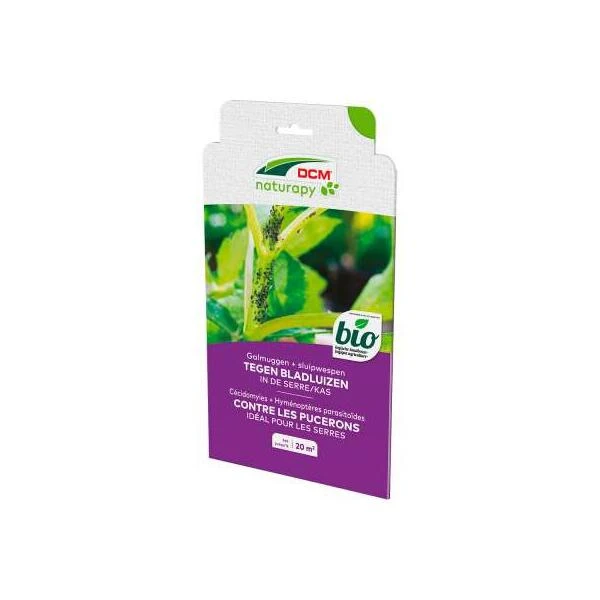 DCM Aphidi-Guard - Galmuggen En Sluipwespen Tegen Bladluizen - 20 M² 3 DCM Aphidi-Guard - Galmuggen En Sluipwespen Tegen Bladluizen - 20 M²