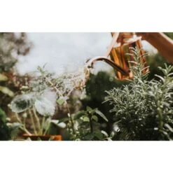 Haws Gieter 1 L - Koper -Tuindecoratie Winkel gieter haws 1 l koper 1659089480 2 600