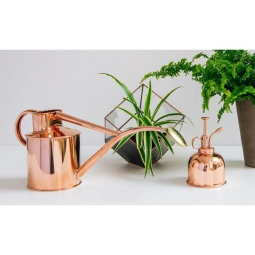 Haws Giftbox Gieter En Vernevelaar - Koper 6 Haws Giftbox Gieter En Vernevelaar - Koper -Tuindecoratie Winkel haws giftbox koper 1484067971 1 600