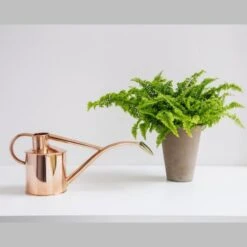 Haws Giftbox Gieter En Vernevelaar - Koper -Tuindecoratie Winkel haws giftbox koper 1485175232 0 600