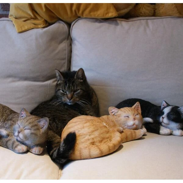 ESSCHERT DESIGN Kat Rustend - 3 Kleuren 4 ESSCHERT DESIGN Kat Rustend - 3 Kleuren - Afbeelding 2