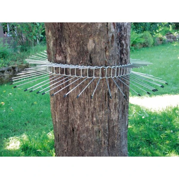 Kattenafweergordel Tot Boomomtrek 70 Cm 3 Kattenafweergordel Tot Boomomtrek 70 Cm