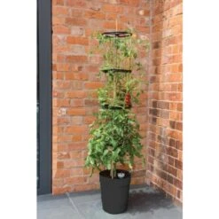 Tomatentoren 150 Cm Met Bewateringssysteem - Grijs 9 Tomatentoren 150 Cm Met Bewateringssysteem - Grijs -Tuindecoratie Winkel klimplantentoren met bewateringssysteem 1519073384 2 600