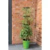 Klimplantentoren 150 Cm Met Bewateringssysteem - Groen 2 Klimplantentoren 150 Cm Met Bewateringssysteem - Groen -Tuindecoratie Winkel klimplantentoren met bewateringssysteem 1519073626 1 600