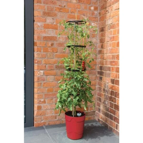 Tomatentoren Met Bewateringssysteem - 150 Cm 6 Tomatentoren Met Bewateringssysteem - 150 Cm - Afbeelding 4