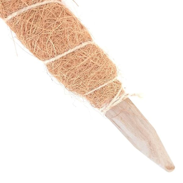 Kokos Kamerplantensteun - Plantstok Ø45 Mm × 0,6 M 4 Kokos Kamerplantensteun - Plantstok Ø45 Mm × 0,6 M - Afbeelding 2