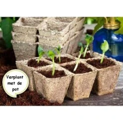 Vezelpotjes Vierkant Biologisch Afbreekbaar - 6 × 6 Cm - Set Van 24 Stuks 7 Vezelpotjes Vierkant Biologisch Afbreekbaar - 6 × 6 Cm - Set Van 24 Stuks -Tuindecoratie Winkel kokos potjes vierkant 6 cm 1519297688 1 600