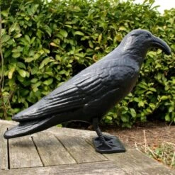 Duivenverjager Kraai Roepend 9 Duivenverjager Kraai Roepend -Tuindecoratie Winkel kraai met geluid 1523289337 4 600