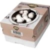 Kweekset 7,5 Liter Witte Champignons 1 Kweekset 7,5 Liter Witte Champignons -Tuindecoratie Winkel kweekset witte champignons 3 l 1486032924 0 600