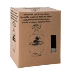 ESSCHERT DESIGN Kweekstolp Glas Op Betonbasis 8 ESSCHERT DESIGN Kweekstolp Glas Op Betonbasis -Tuindecoratie Winkel kweekstolp glas op betonbasis 1628768575 1 600