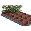 Tray Met 18 Ronde Kweekpotten 9 Cm 2 Tray Met 18 Ronde Kweekpotten 9 Cm -Tuindecoratie Winkel kweektray 18 potten 9 cm 1484055982 1 600