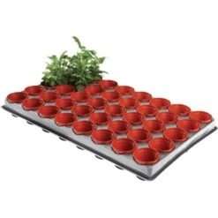 Tray Met 40 Kweekpotjes 6 Cm 7 Tray Met 40 Kweekpotjes 6 Cm -Tuindecoratie Winkel kweektray 40 potjes 6 cm 1599819541 1 600